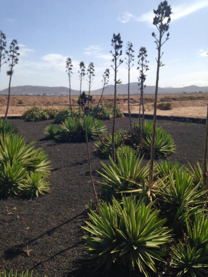 Lagos Renovated New Kitchen & Apartment El Cotillo (Fuerteventura)